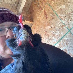 Meet your Posher, Carlin